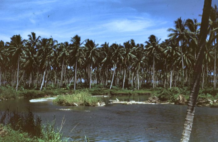 [Image: lunga_river_delta_from_V-mail_station_1944.jpg]