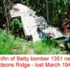TAILFIN OF BETTY BOMBER NEAR EDSONS RIDGE 1995
