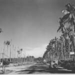 highway 26 near Pt Cruz 1944